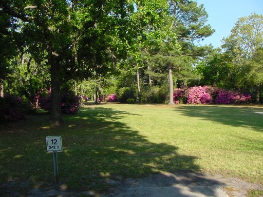 Tee box view of Hole #12 (#3) at Park Circle Disc Golf Course.