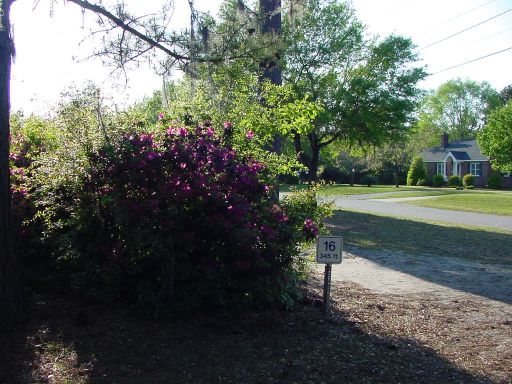 Fairway view of Hole #16 (#7) at Park Circle Disc Golf Course.