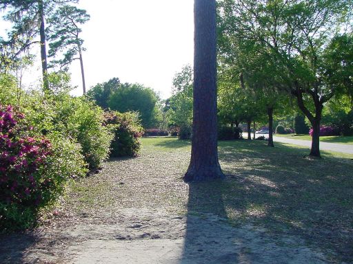 Fairway view of Hole #16 (#7) at Park Circle Disc Golf Course.