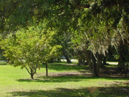 Fairway view of Hole #17 (#8) at Park Circle Disc Golf Course.