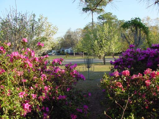 Basket view of Hole #1 (#10) at Park Circle Disc Golf Course.