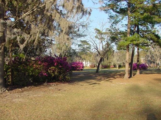 Fairway view of Hole #3 (#12) at Park Circle Disc Golf Course.