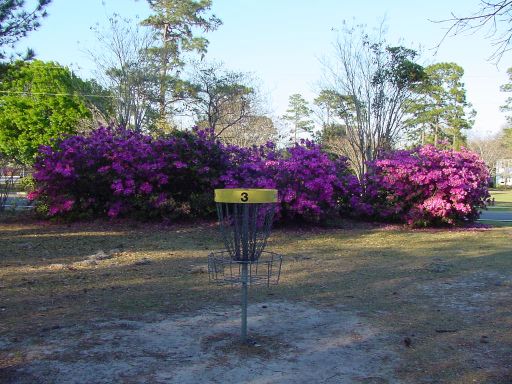 Alternate Hole #3 (#12) Basket at Park Circle Disc Golf Course.