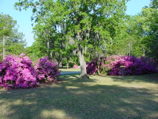 Fairway view of Hole #3 (#12) at Park Circle Disc Golf Course.