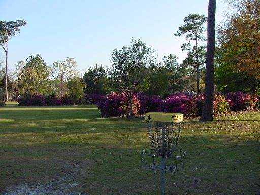 Basket view of Hole #4 (#13) at Park Circle Disc Golf Course.