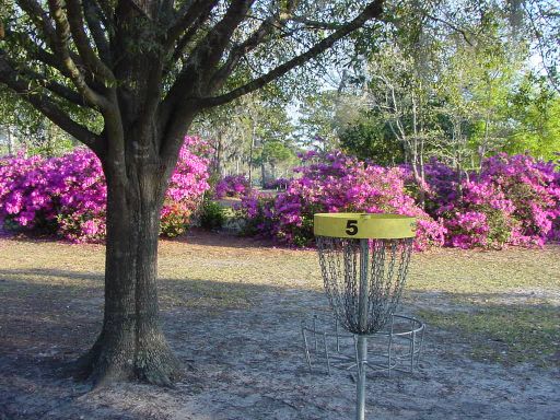 Basket view of Hole #5 (#14) at Park Circle Disc Golf Course.