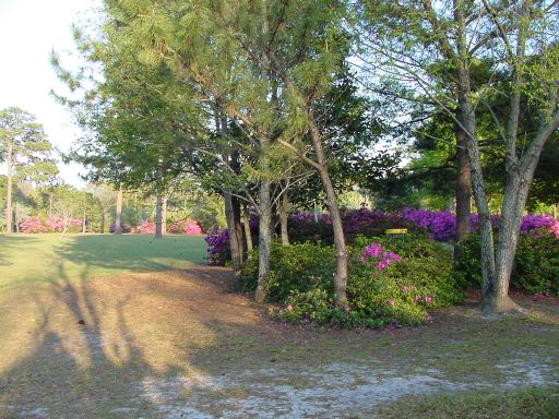 Basket view of Hole #7 (#16) at Park Circle Disc Golf Course.